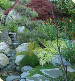 landscape design, japanese garden 